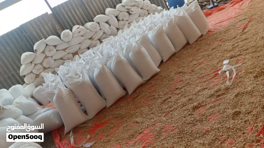 مشاره خشب دجاج