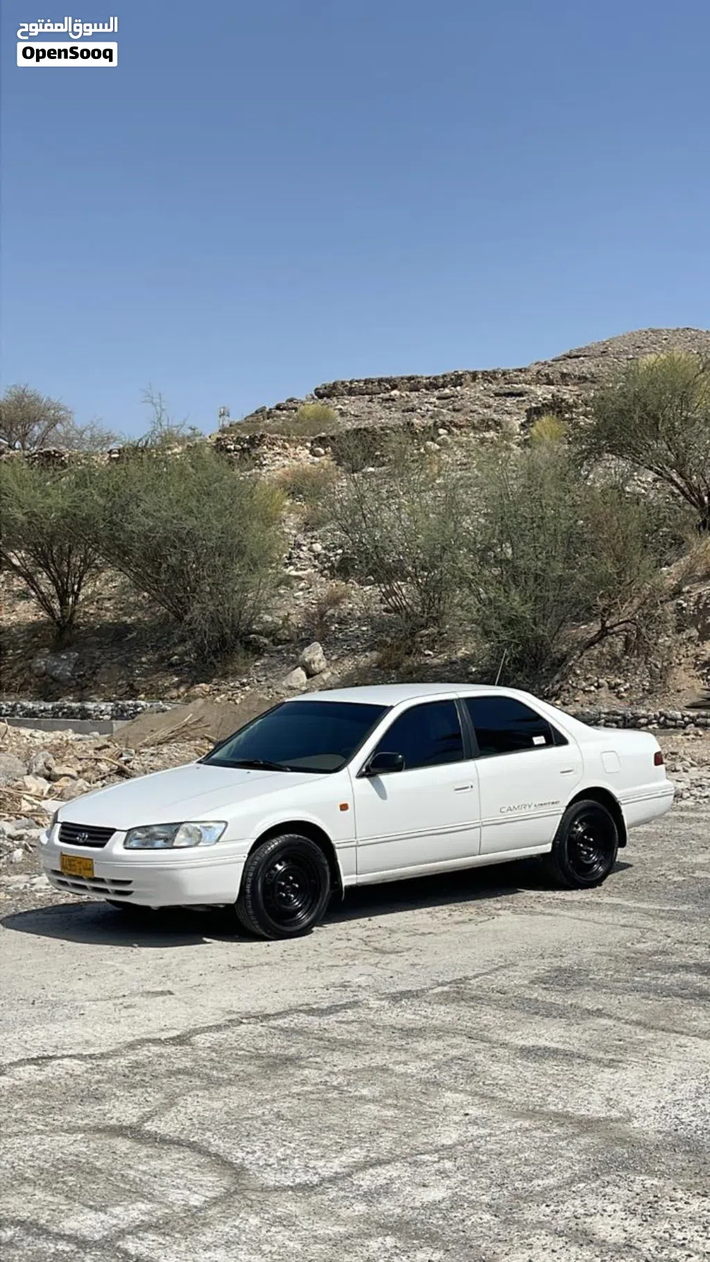 Toyota Camry XLE