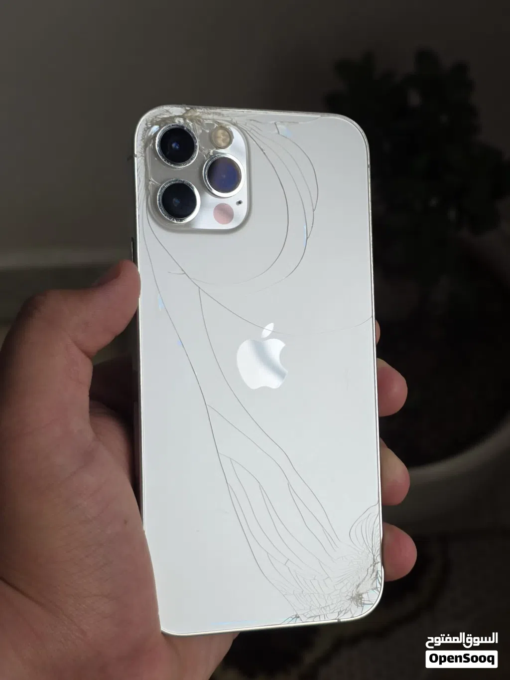 متوفر iPhone 12 Pro نظيف جدا ماشاء الله