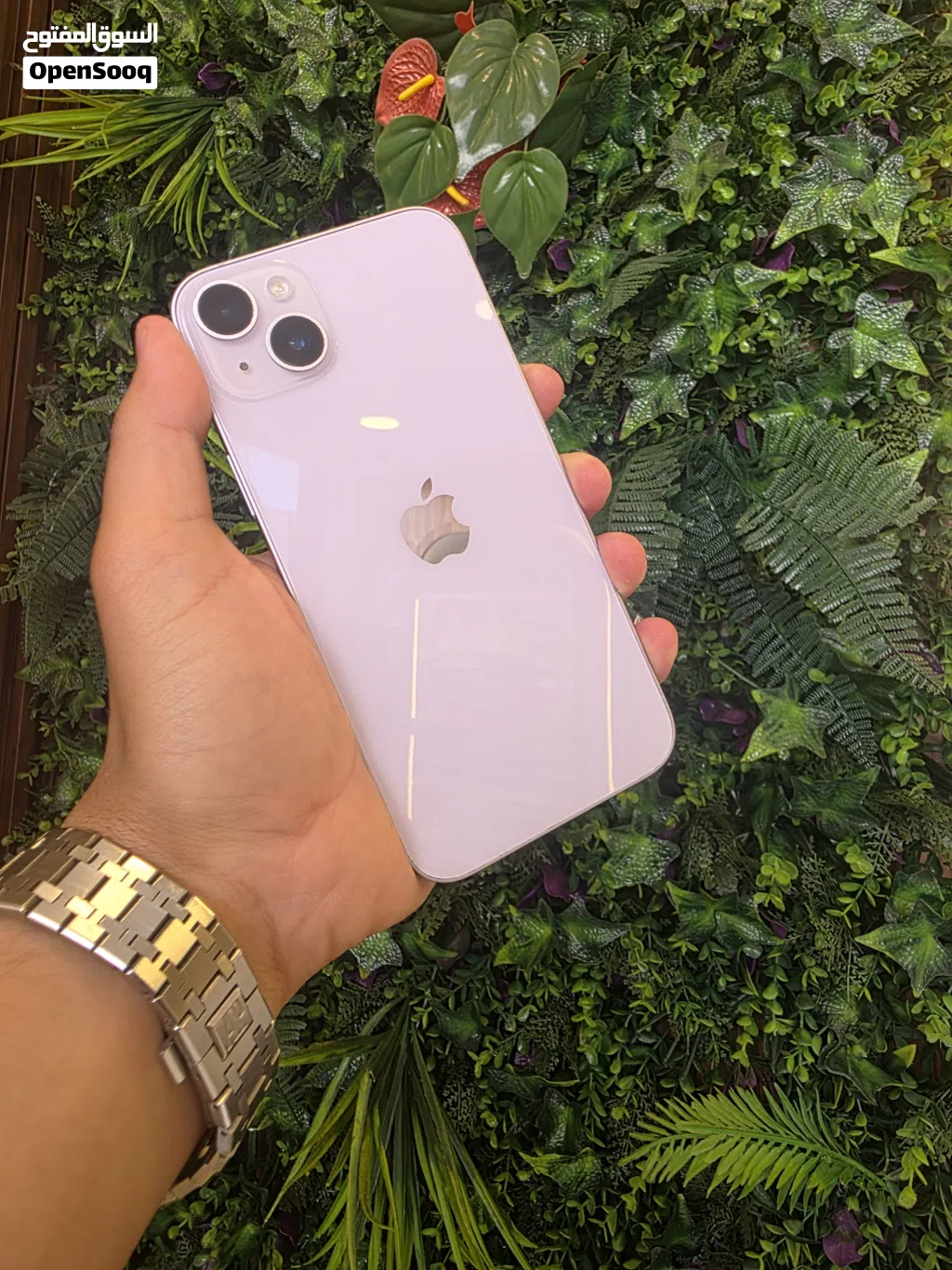 iPhone 14plus 128 مش مفتوح