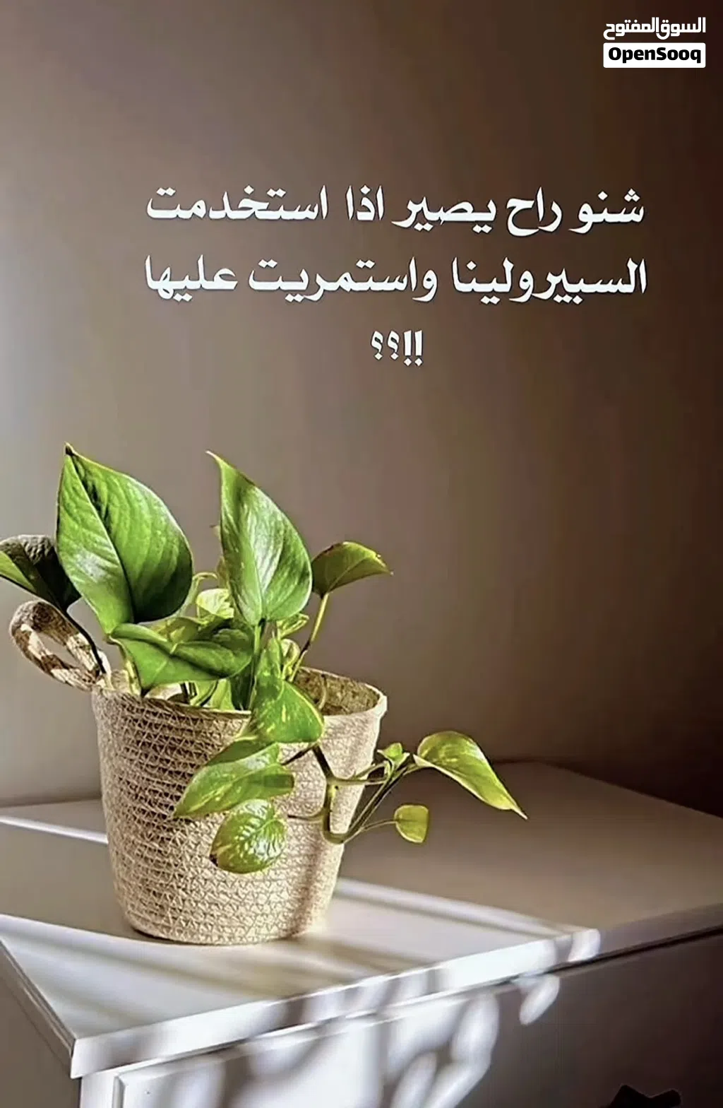 مكمل غذايي الاسبيرولينا