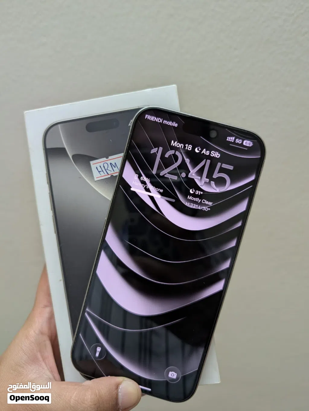 iPhone 16 pro max