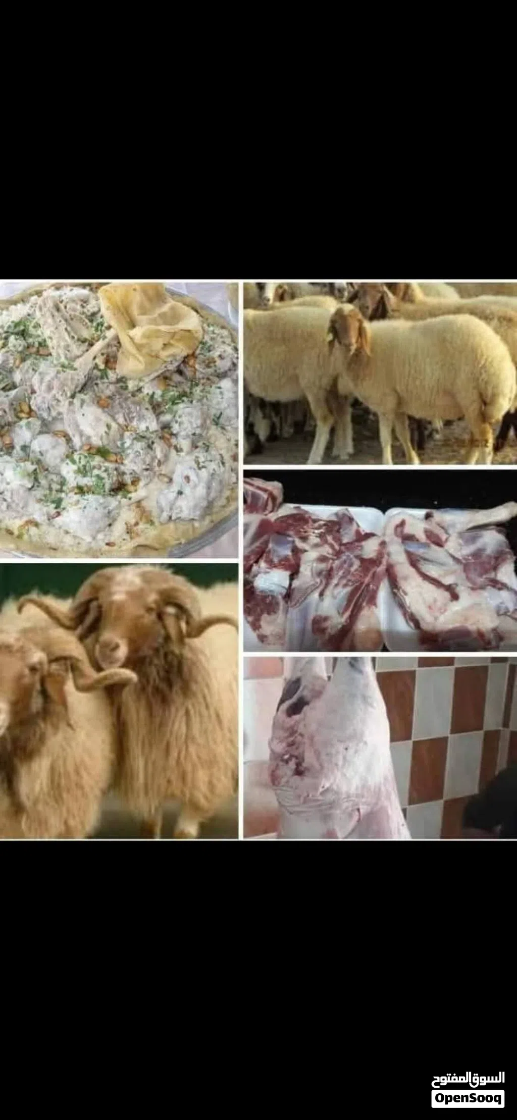 نبدا بصلاة على النبي عروض