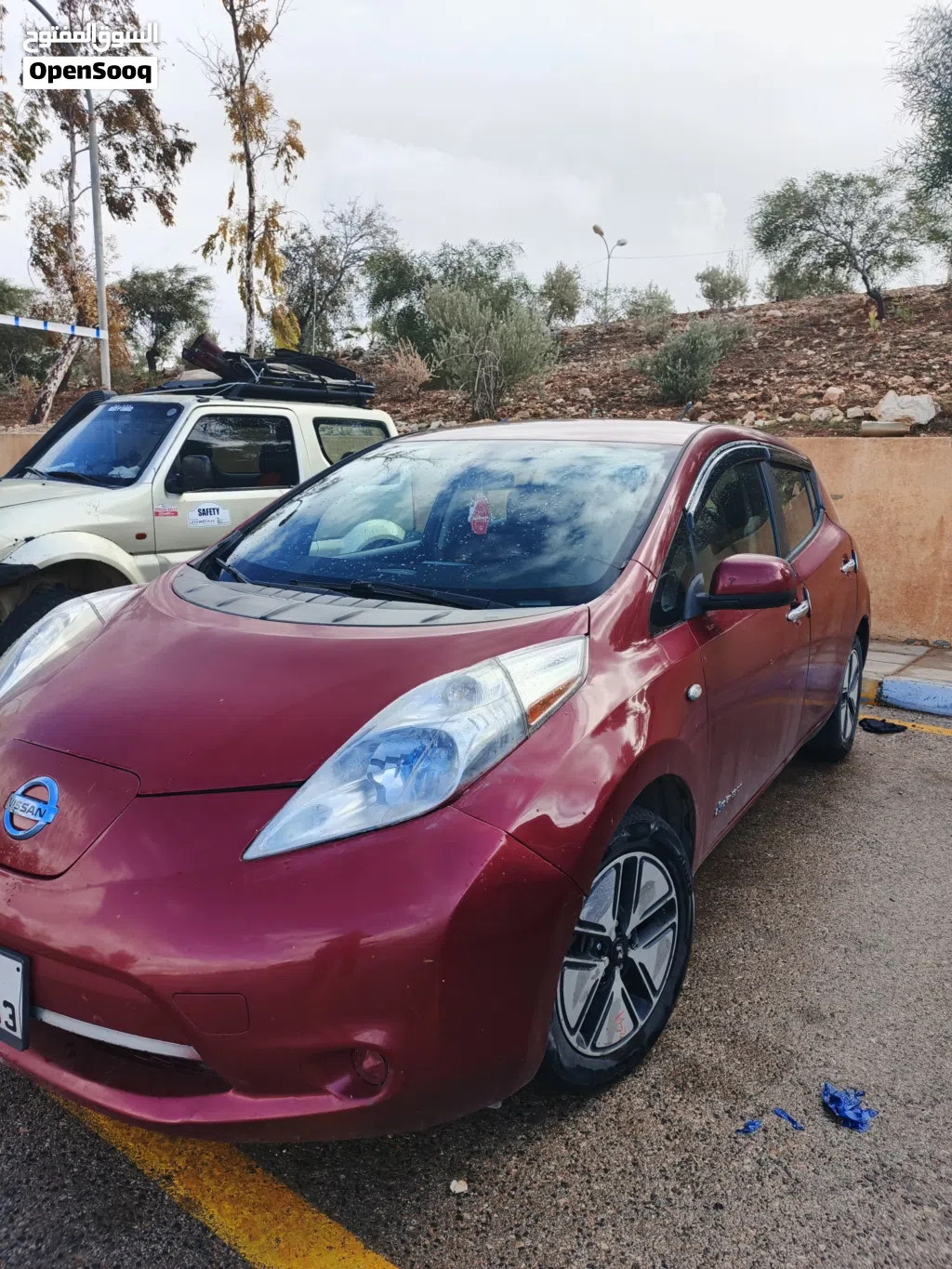Nissan Leaf S