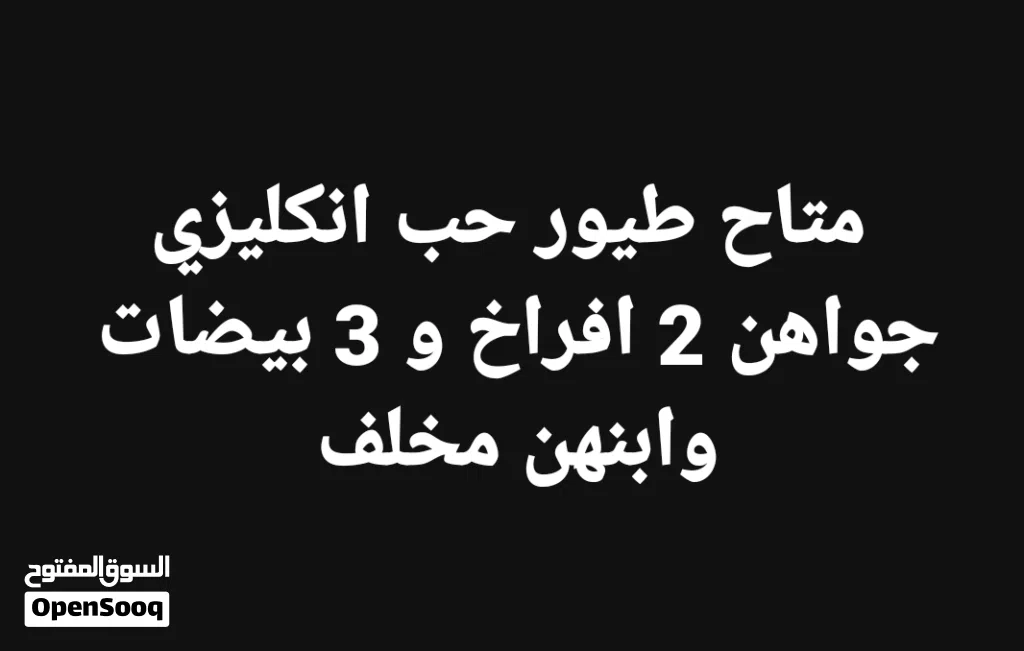 متاح انكليزي جواهن فرخ