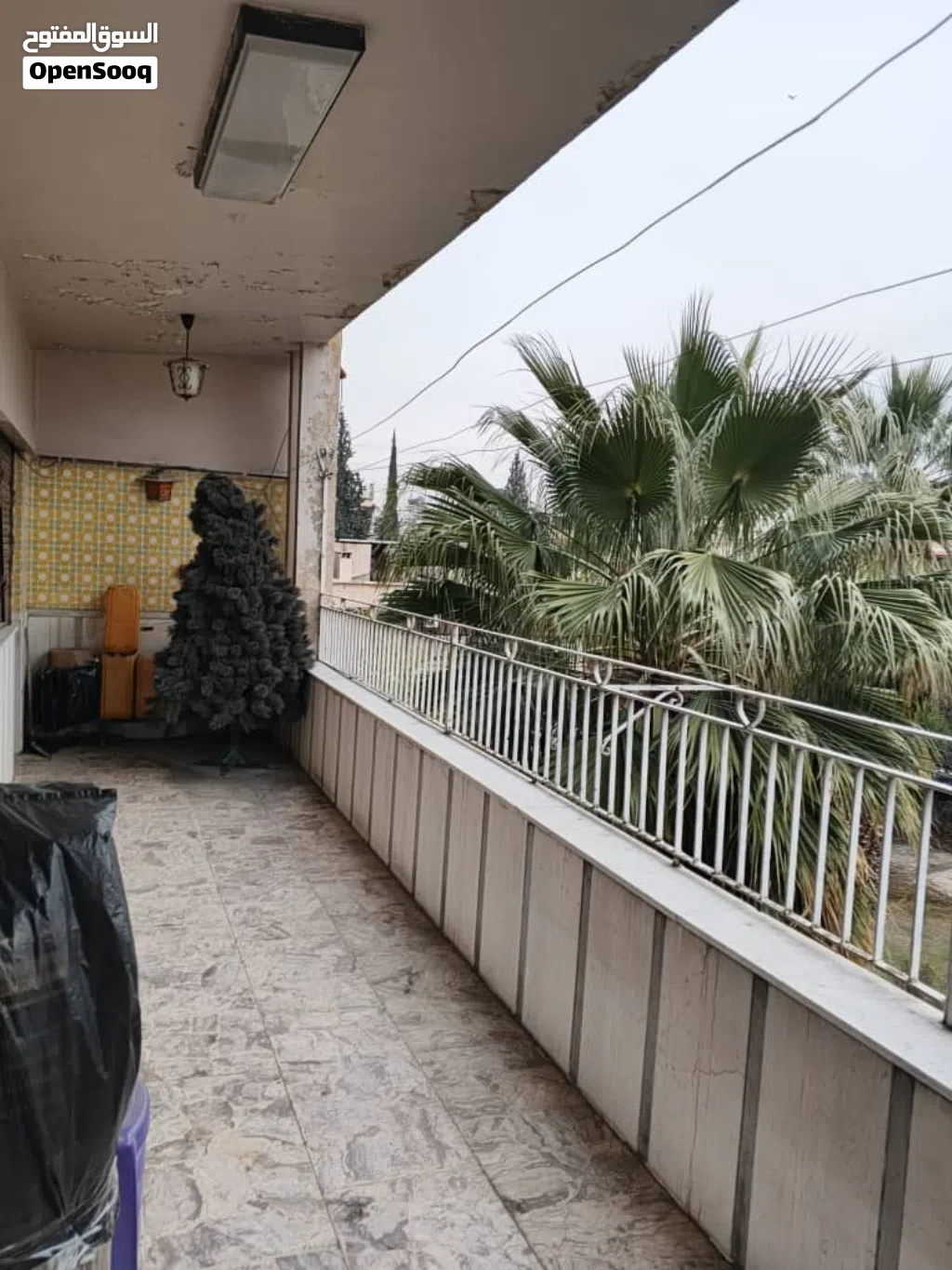 صورة الإعلان