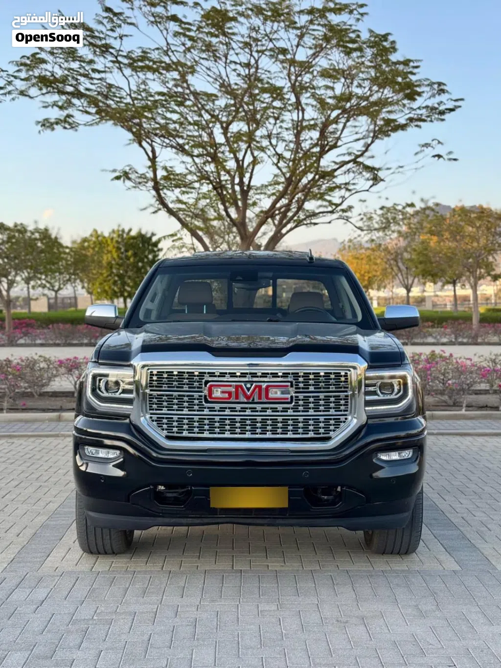 جي إم سي سييرا Denali