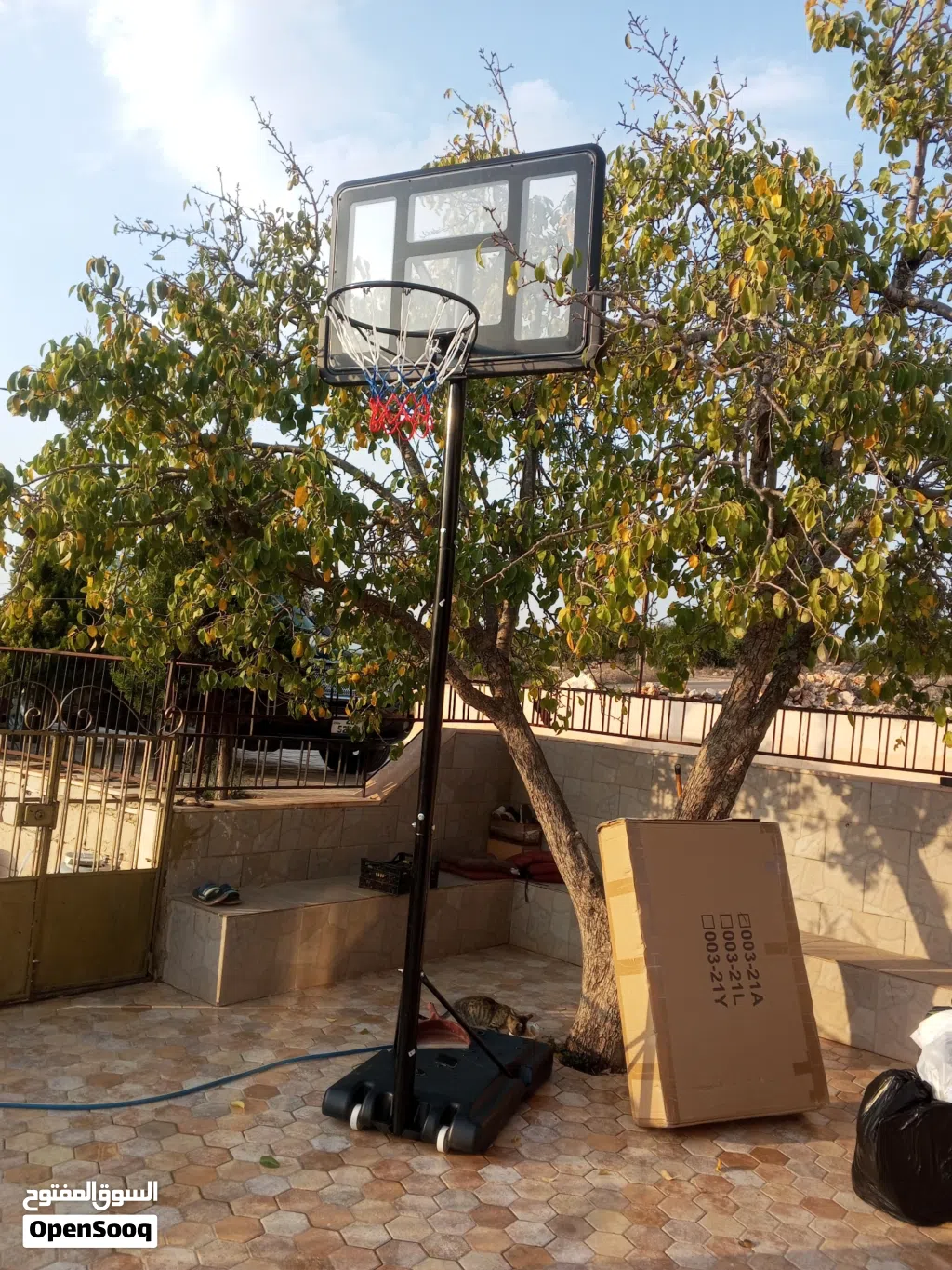 أفضل ستاند سلة زجاجي مقاس رائعه وقابل للتعديل فاخر اصلي نخب بحق الله تحدي بالجودة