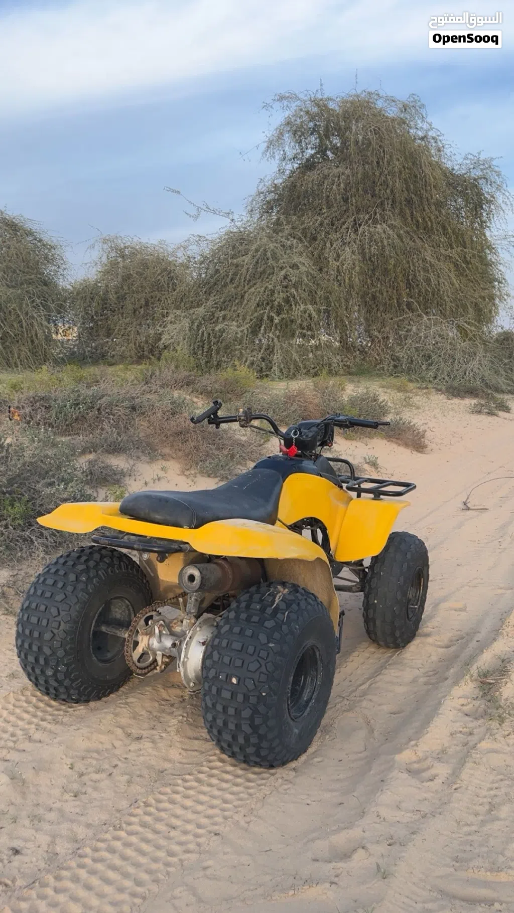 Suzuki 160cc