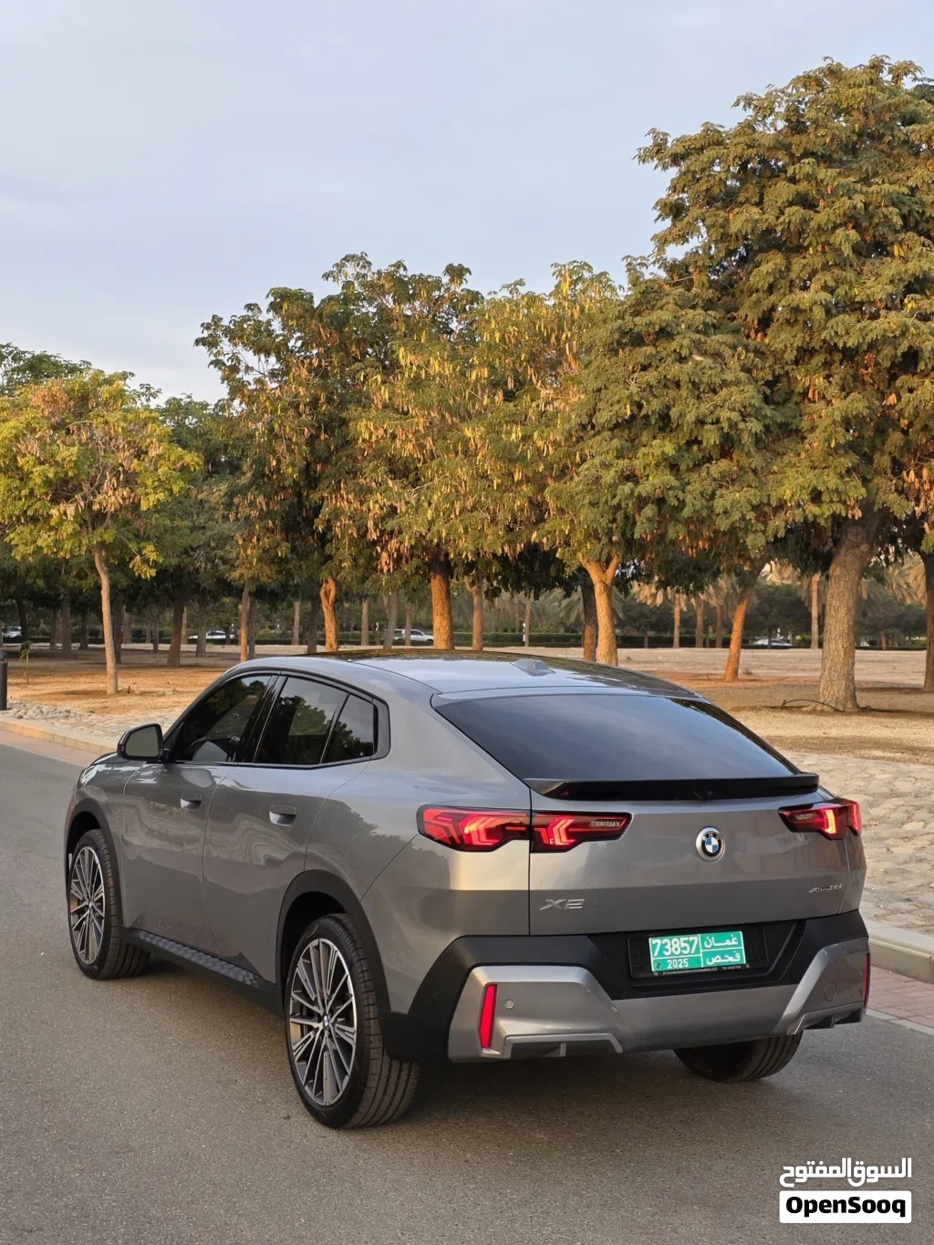 BMW X2 Series Standard