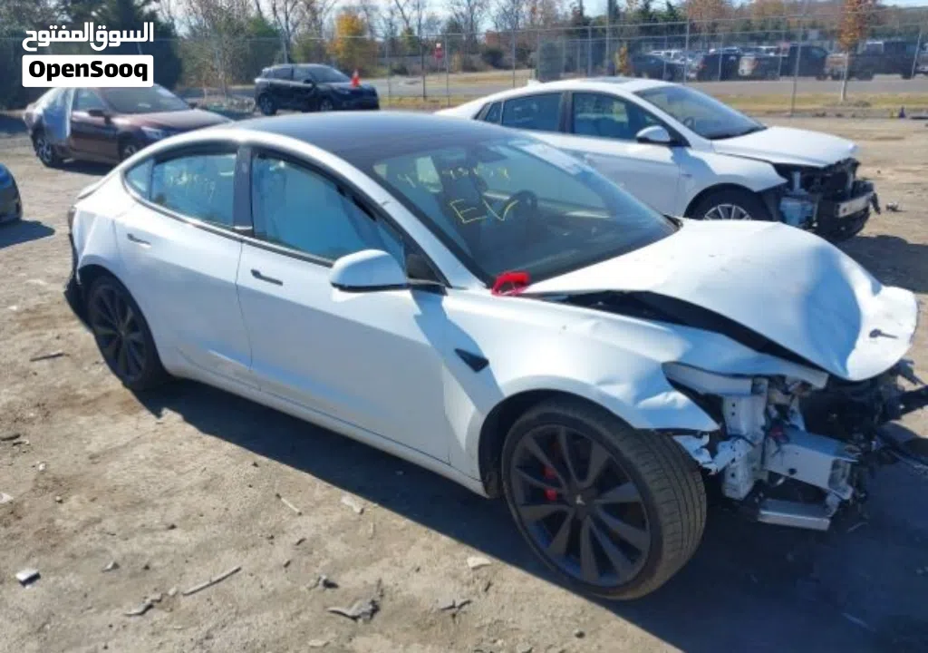 Tesla Model 3 Performance