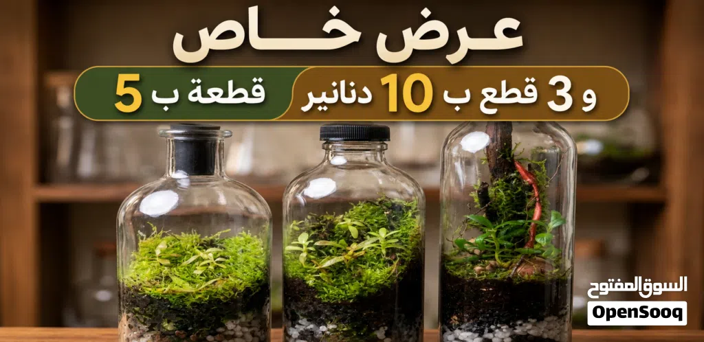 اجعل بيتك مميز ب تيراريوم