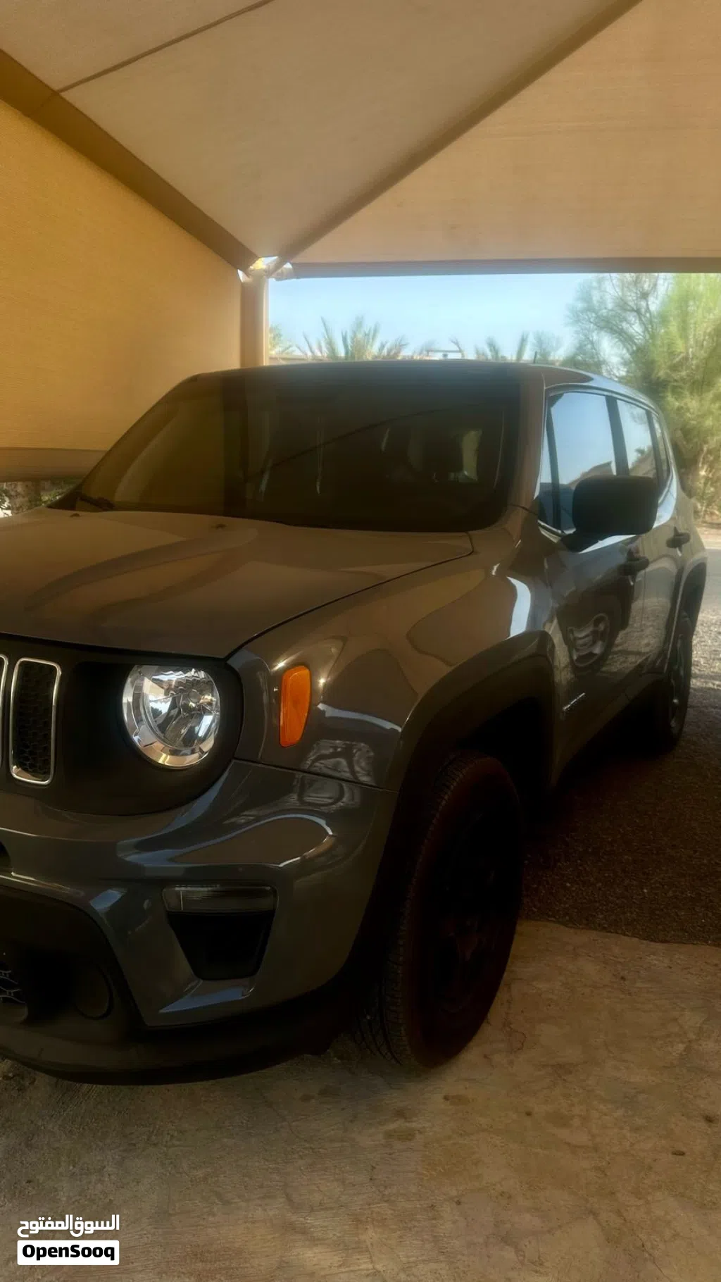 Jeep Renegade Limited
