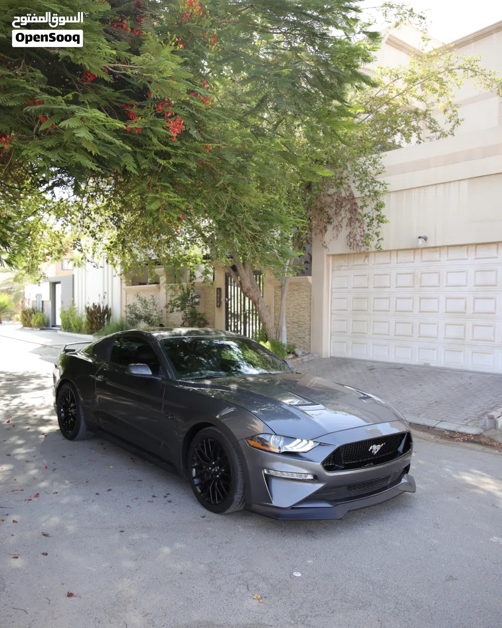 Ford Mustang GT