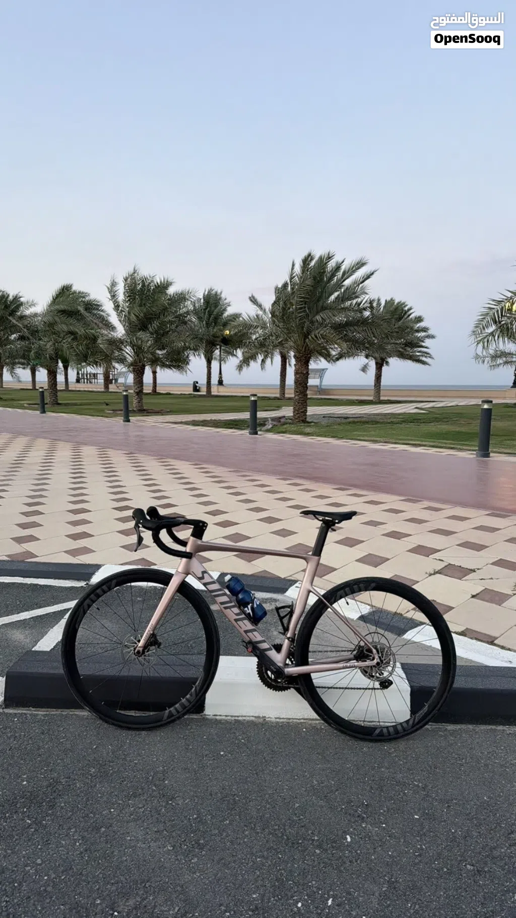 Sunpeed road bike