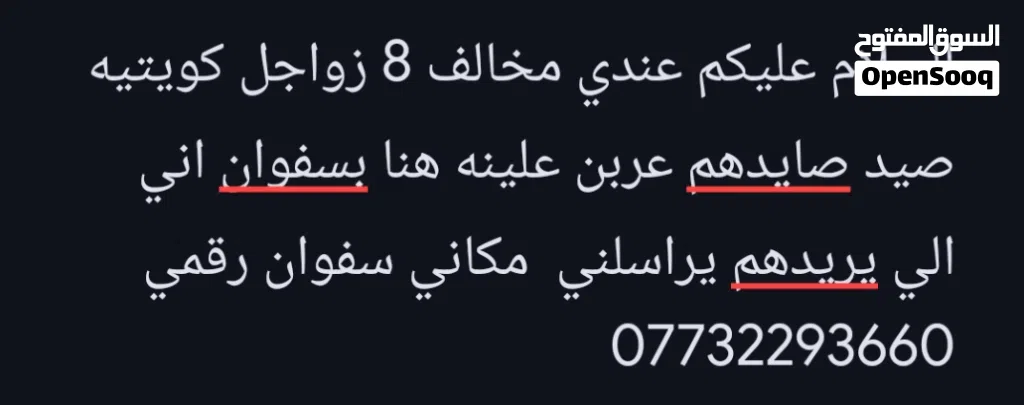 السلام عليكم عندي مخالف 8 زواجل كويتيه صيد صايدهم عربن علينه هنا بسفوان اني الي يريدهم يراسلني مكان