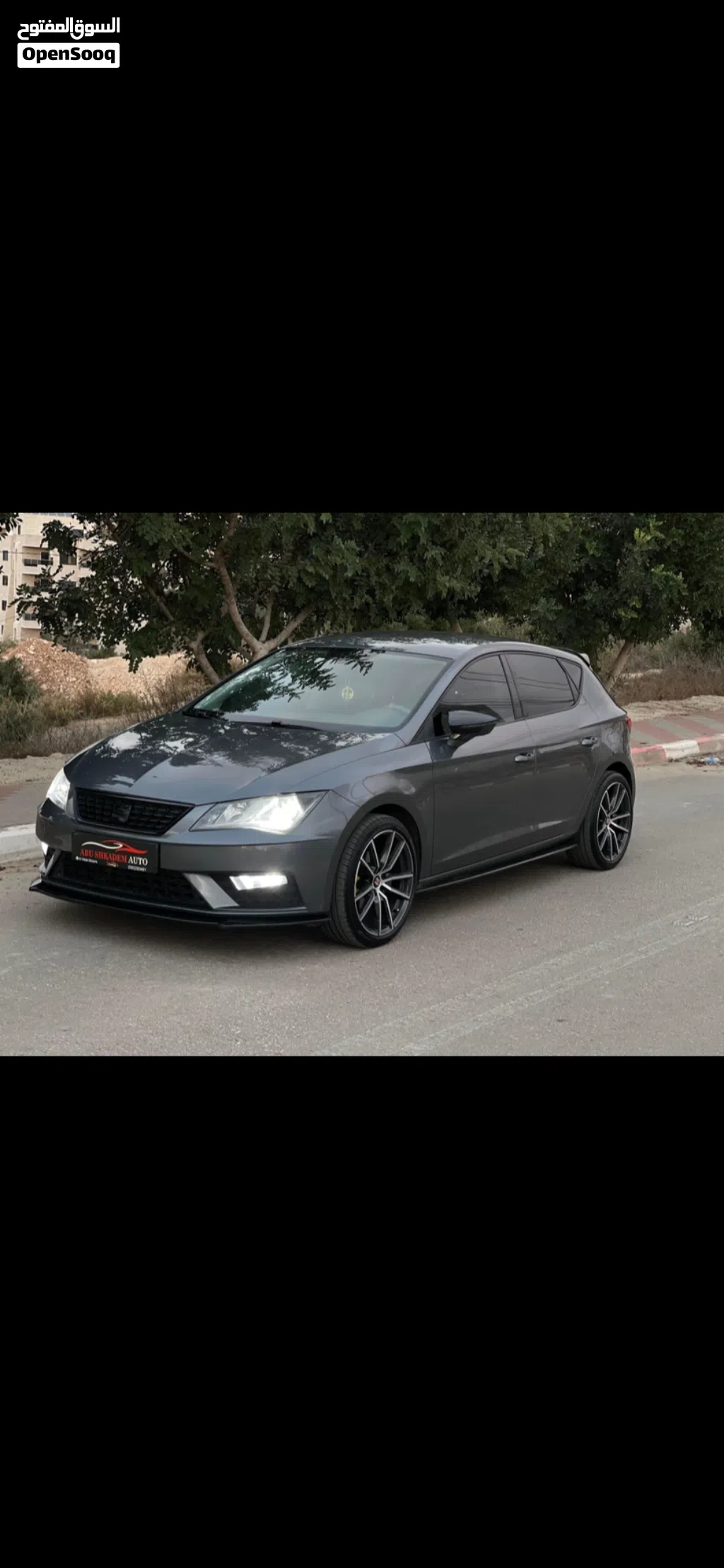 سيات ليون Standard