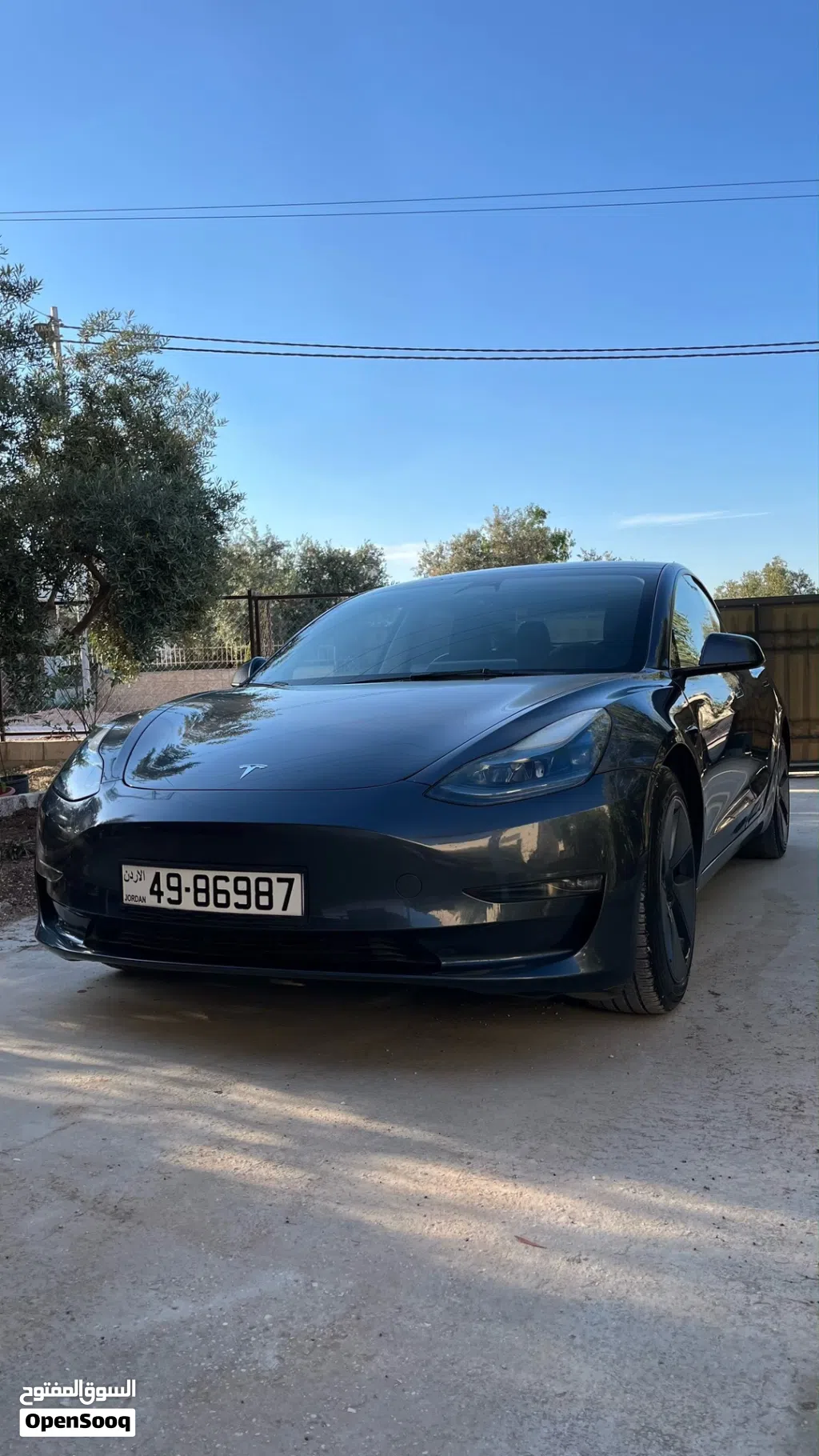 Tesla Model 3 Standard Plus