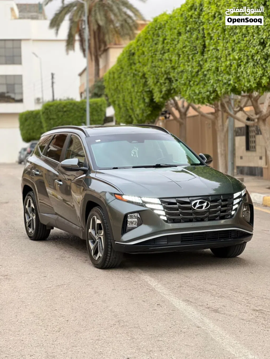 Hyundai Tucson Limited