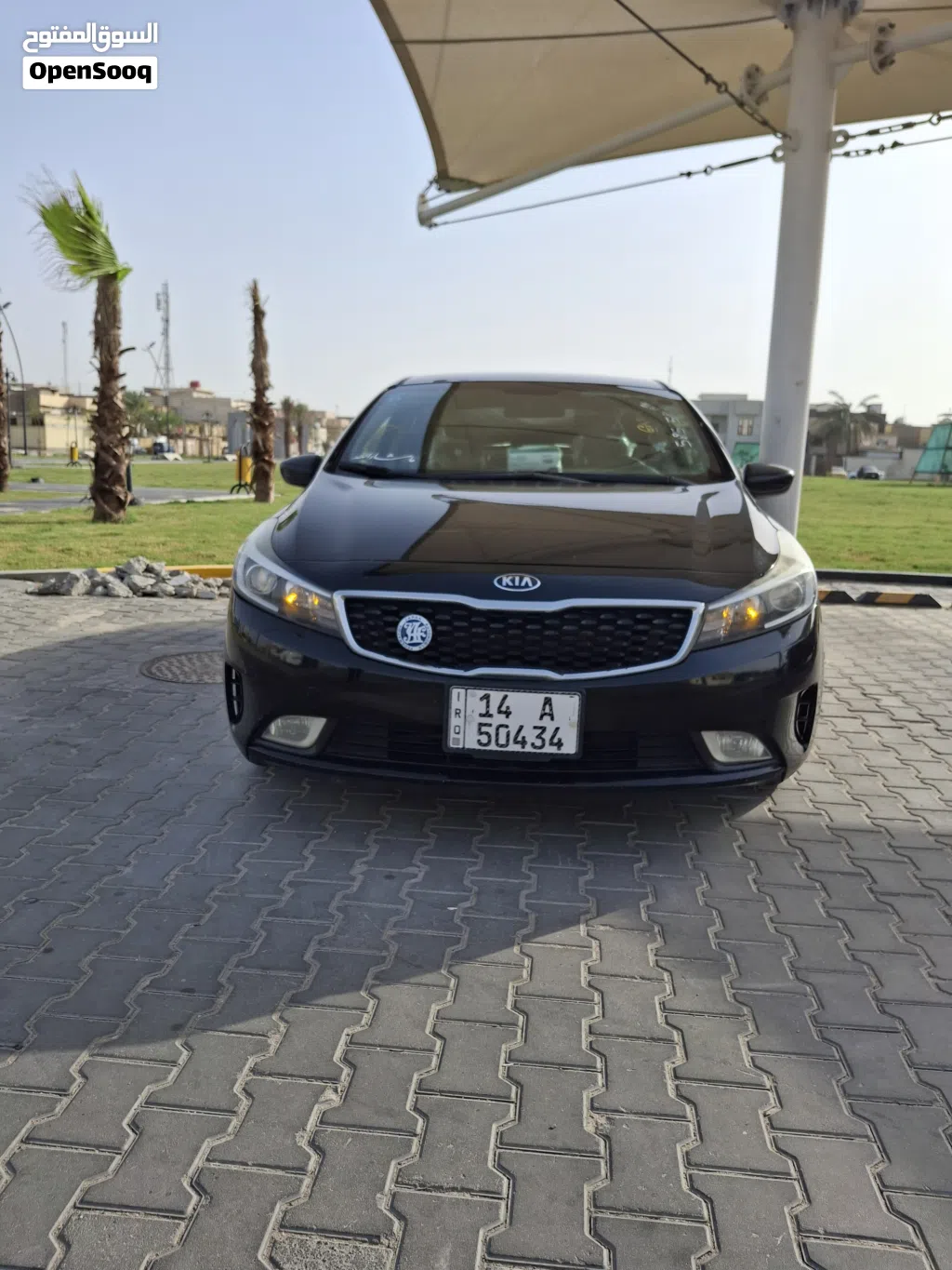 کیا Forte LX