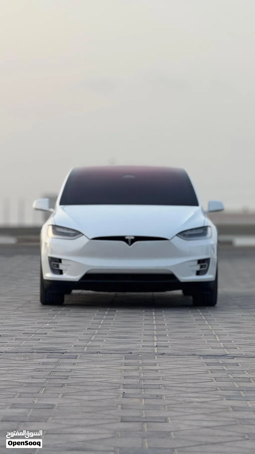 Tesla Model X Long Range