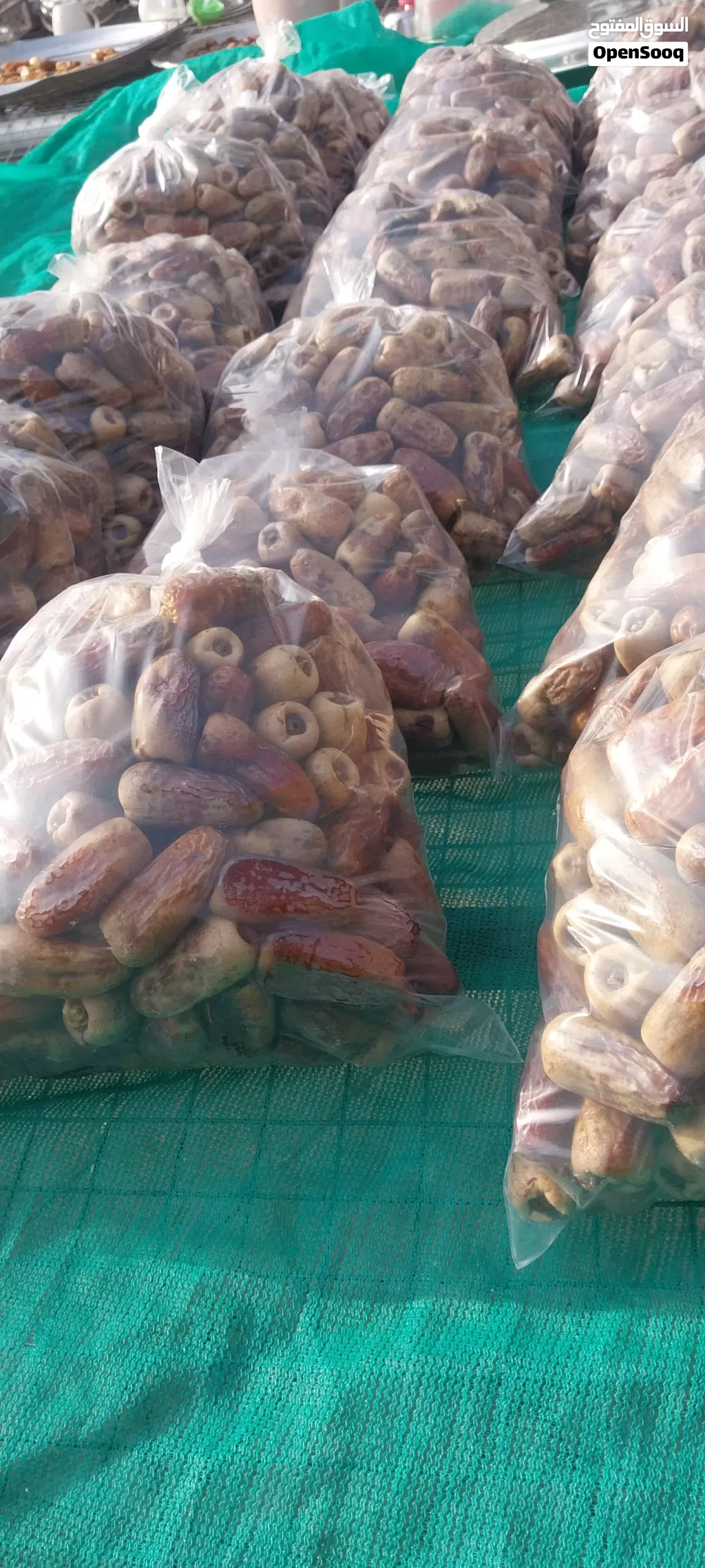تمر نغال جريجرو للبيع