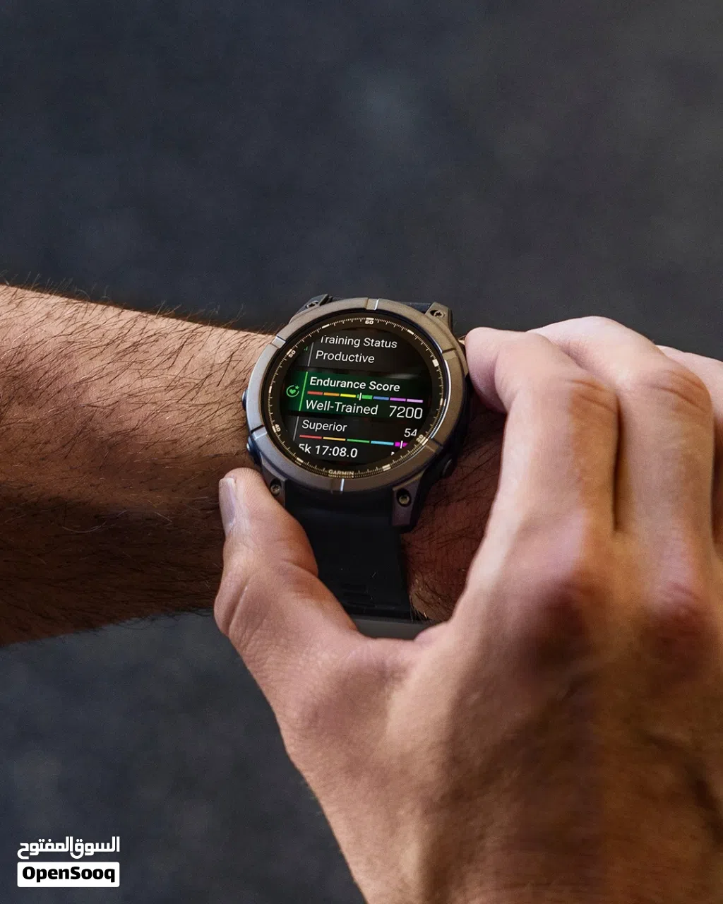 Garmin Fenix E Smartwatch ساعة جرمن الذكية جرمن فينكس ف