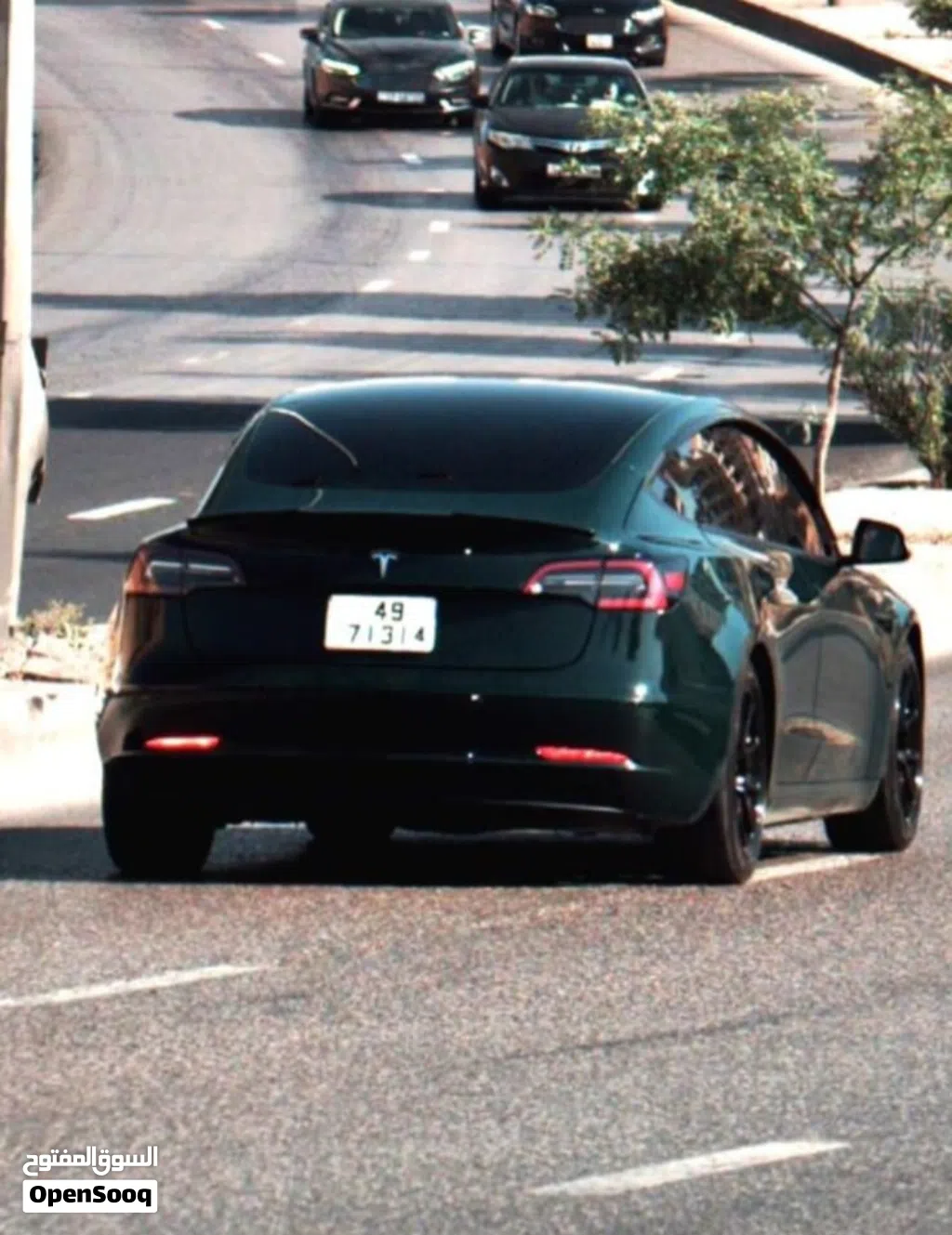 Tesla Model 3 Standard Plus