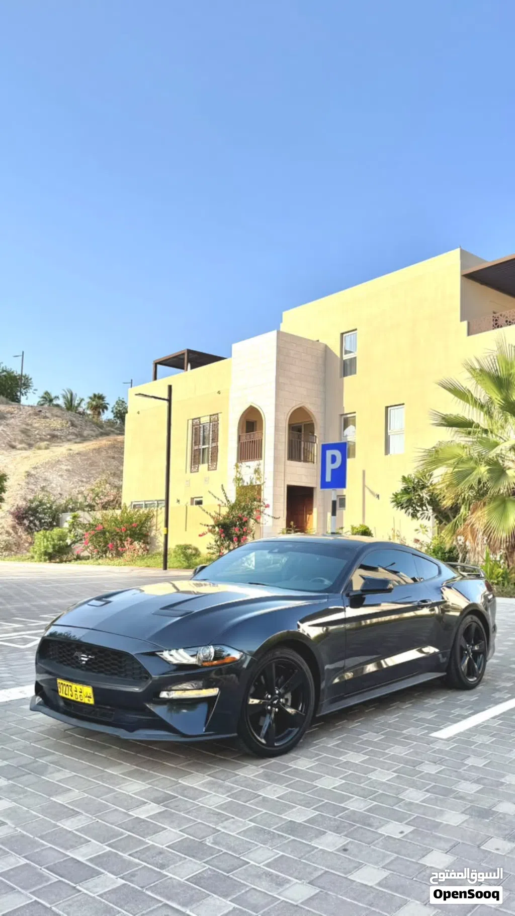 Ford Mustang Standard