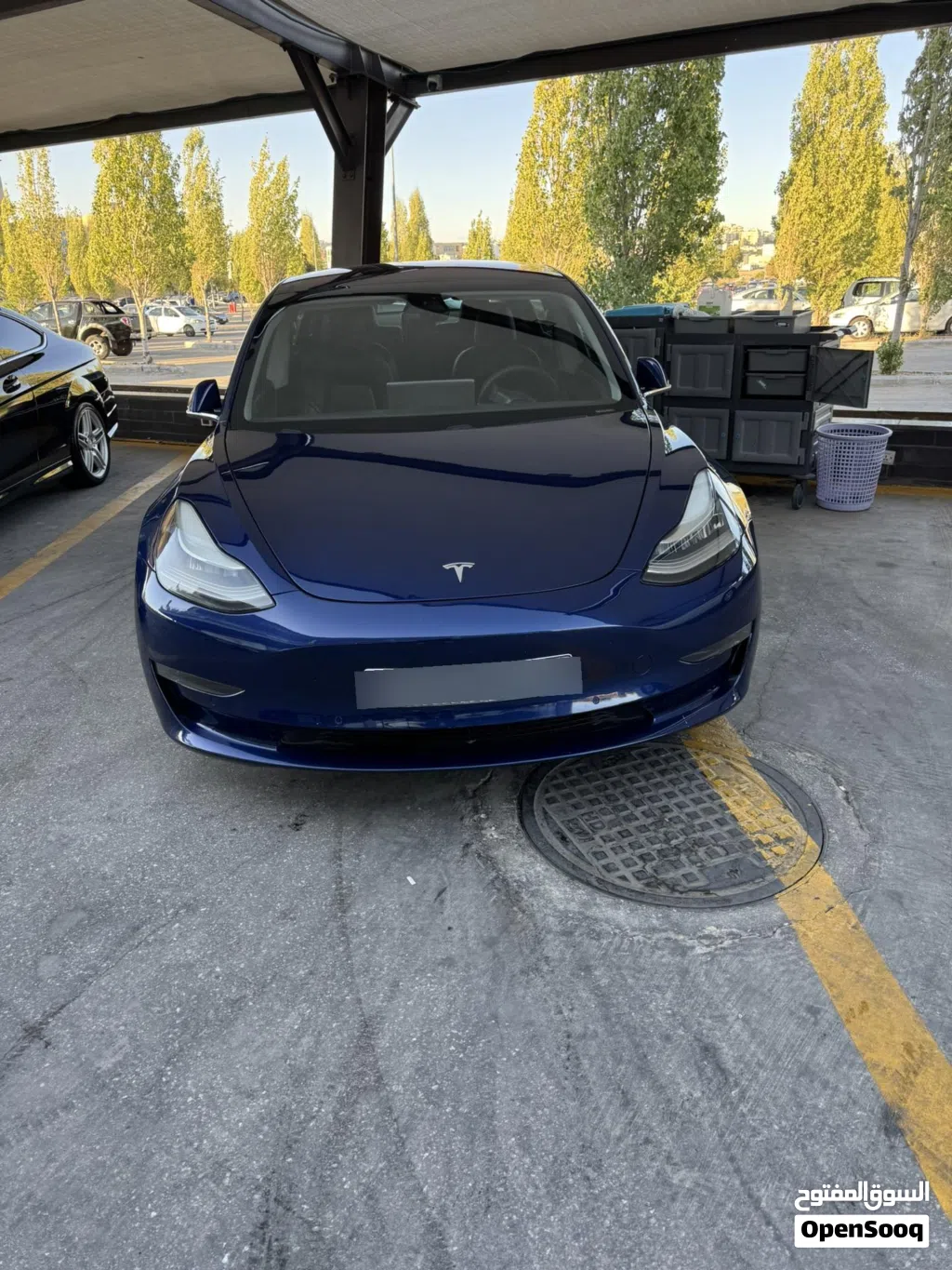 Tesla Model 3 Mid Range