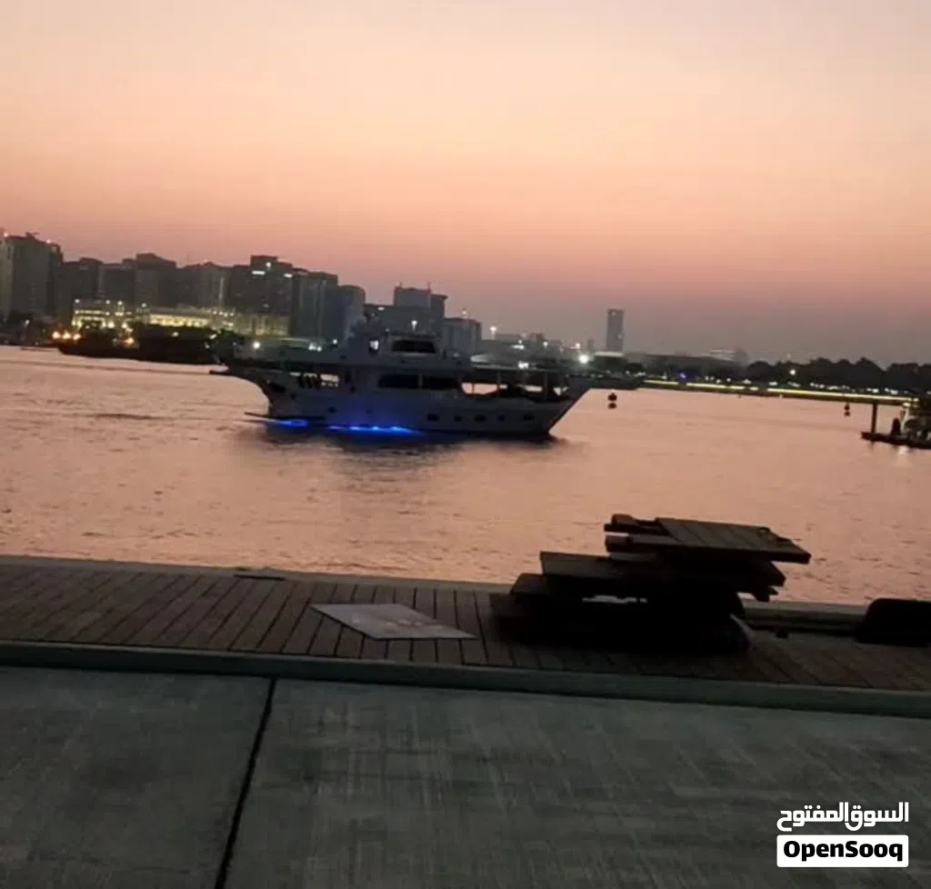 مكافحه الحشرات