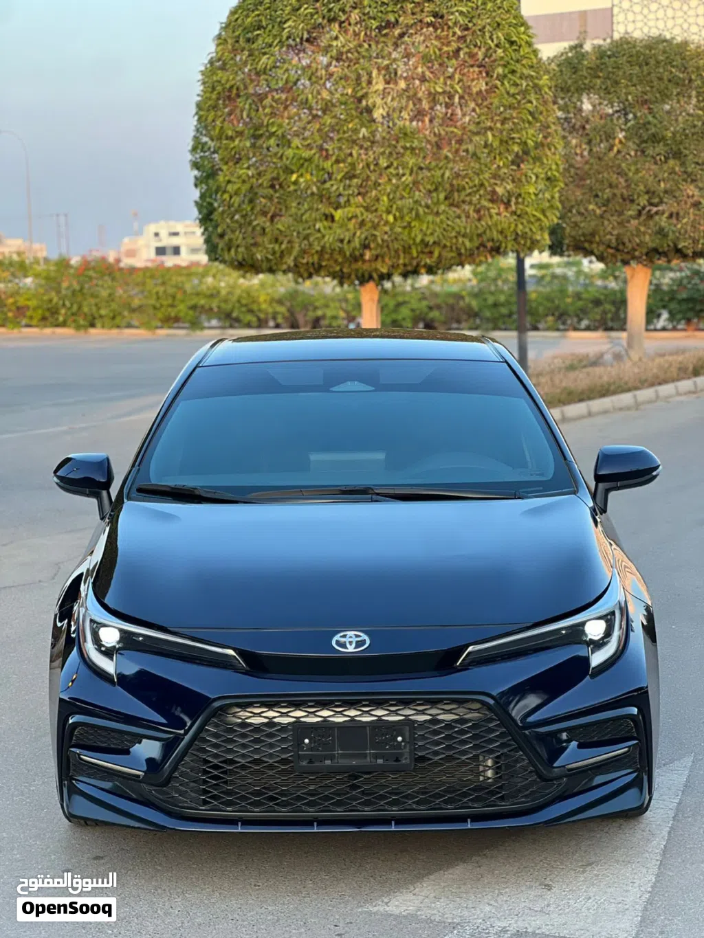 Toyota Corolla SE
