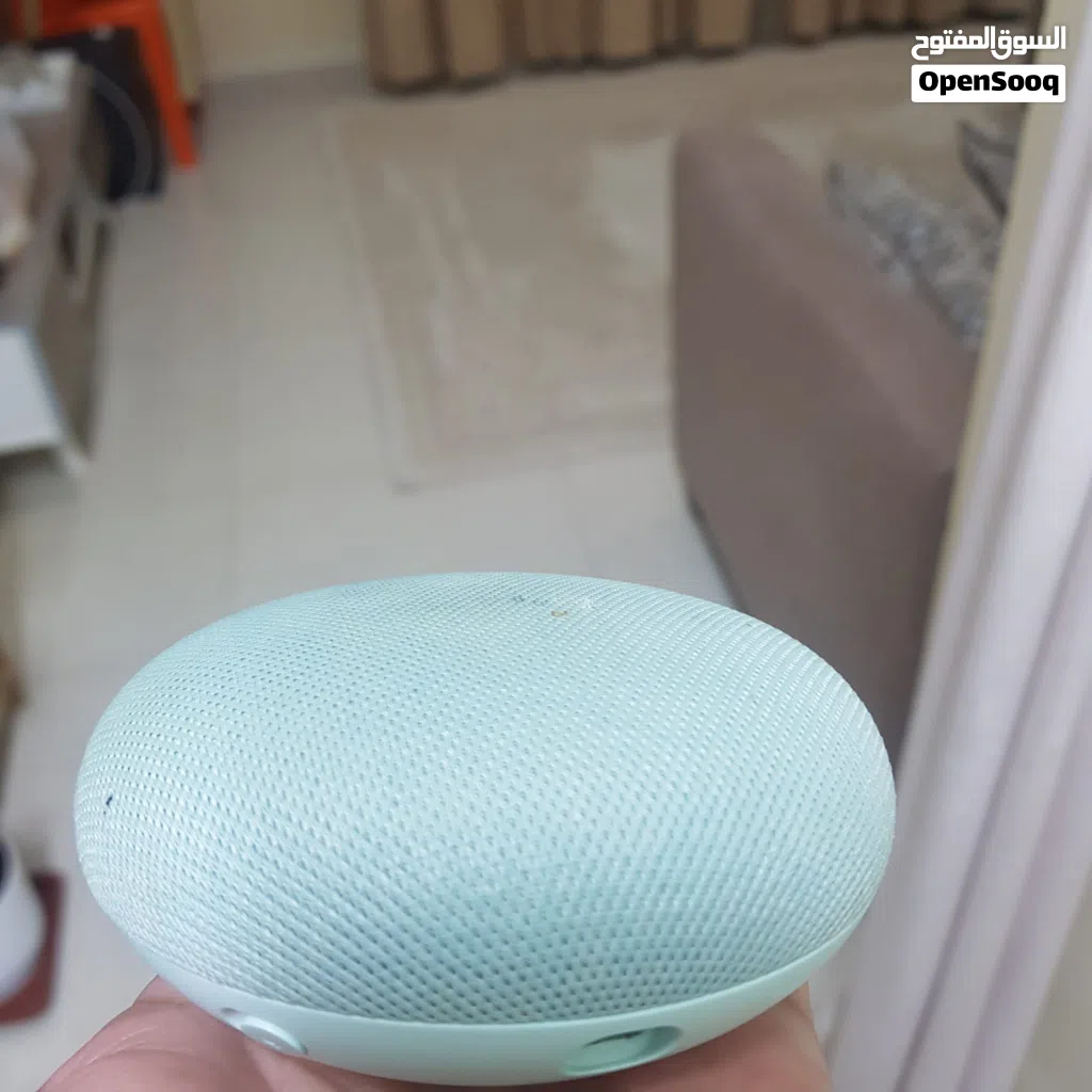 Google mini smart