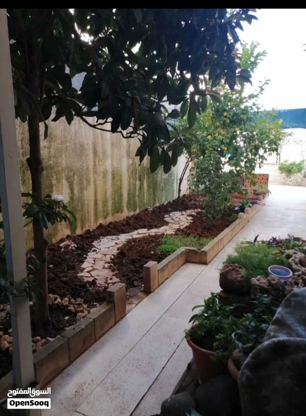 تلاع العلي الجاردنز