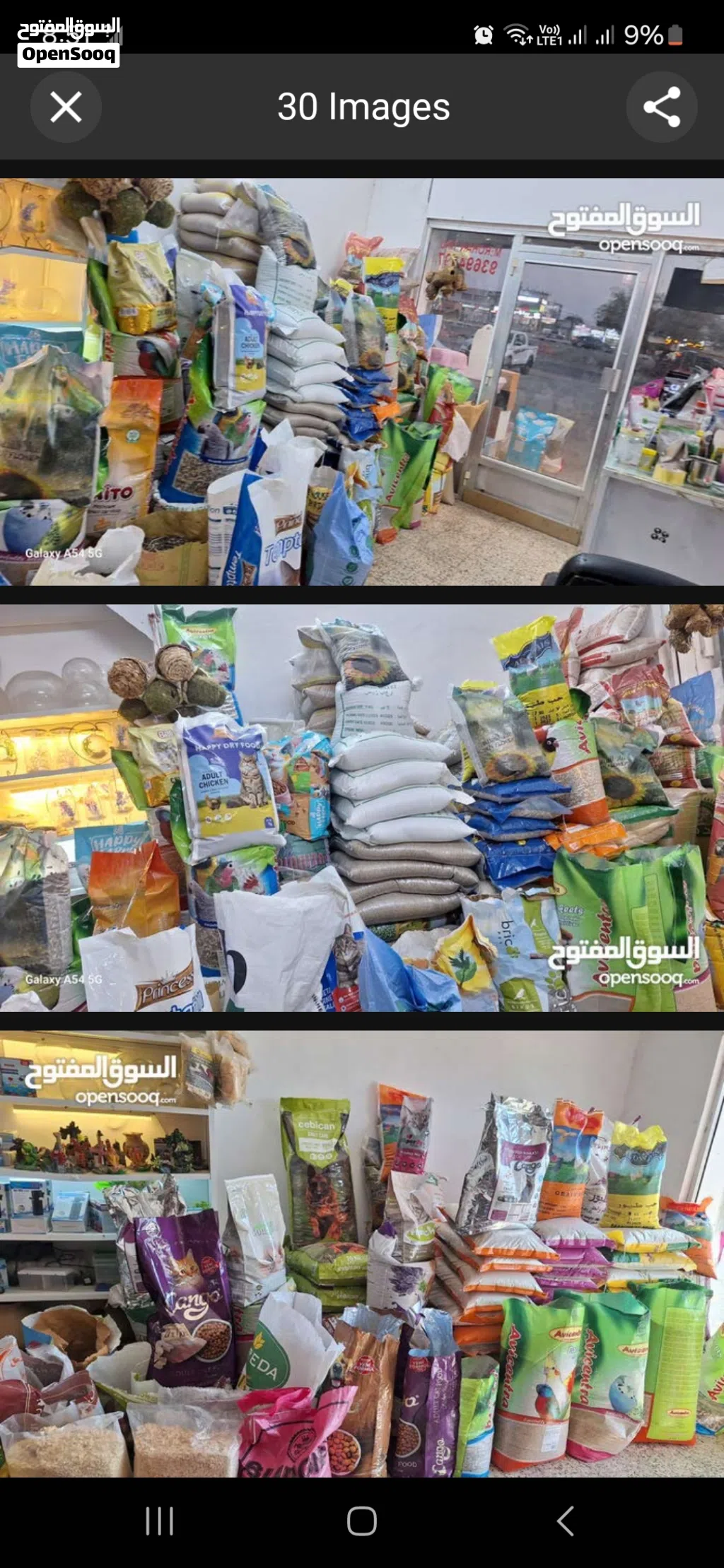 BIRDS CAT FOOD ACCESSORIES SALE //THARMAD SHOQ