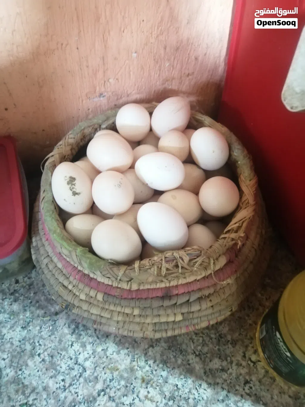بيض كويتي دندراوي وكحلي