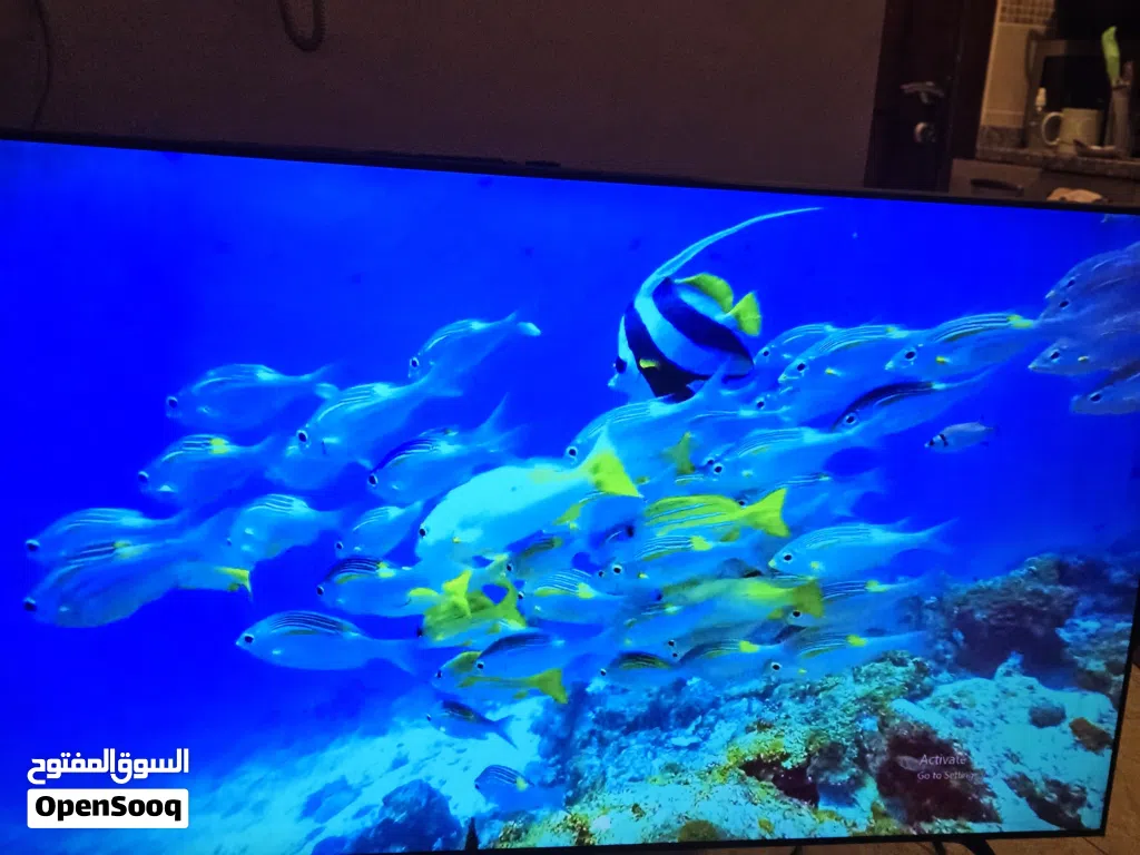 Samsung TV 65