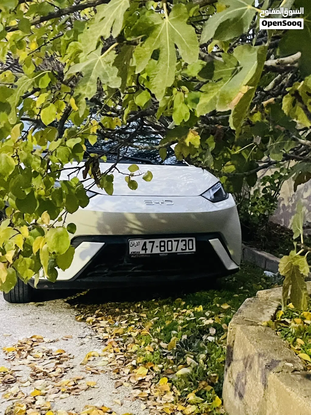 BYD Song L