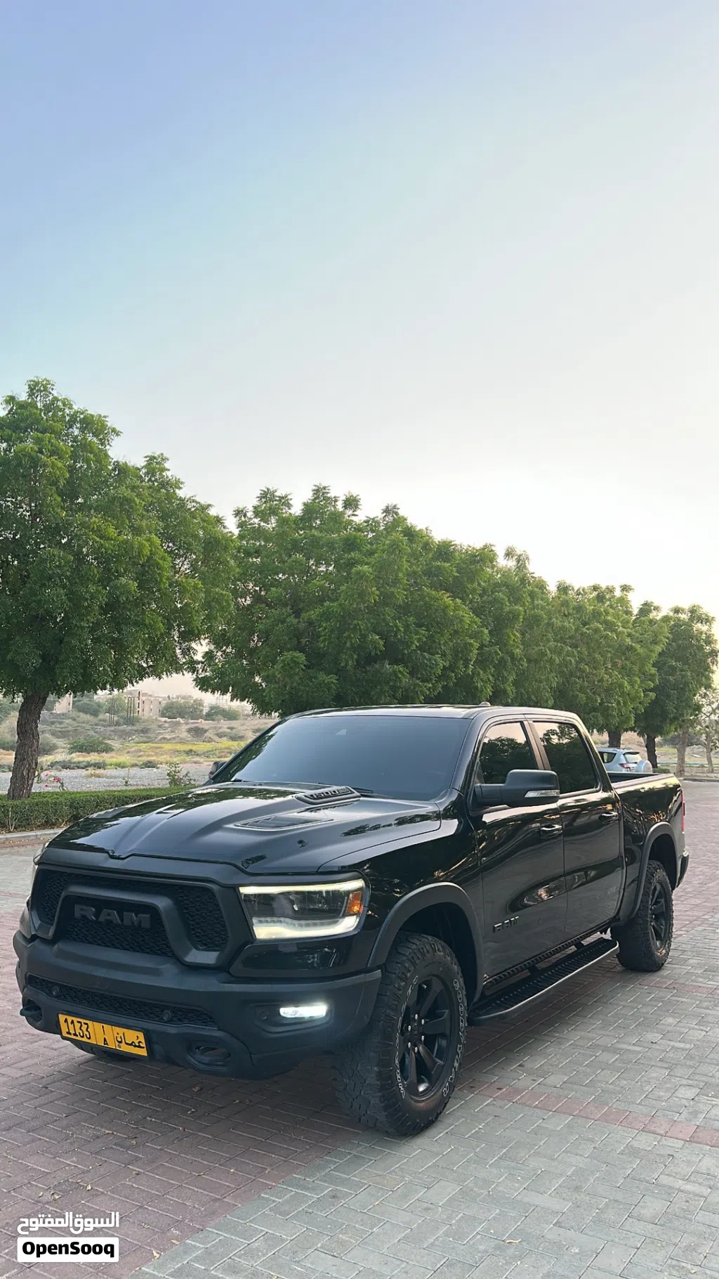 Dodge Ram Rebel