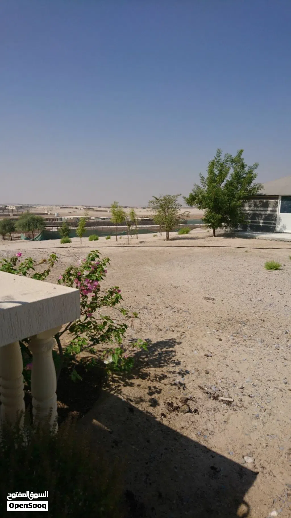 للبيع عزبة في منطقة الوثبه