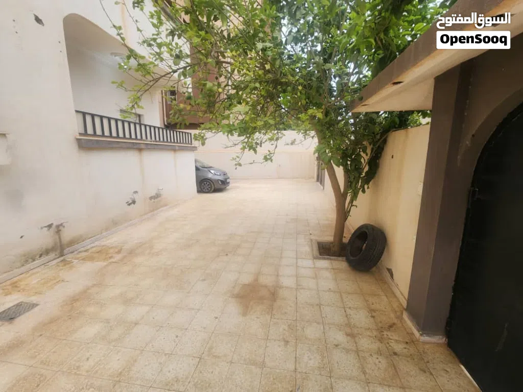 شقه ابن نفيس