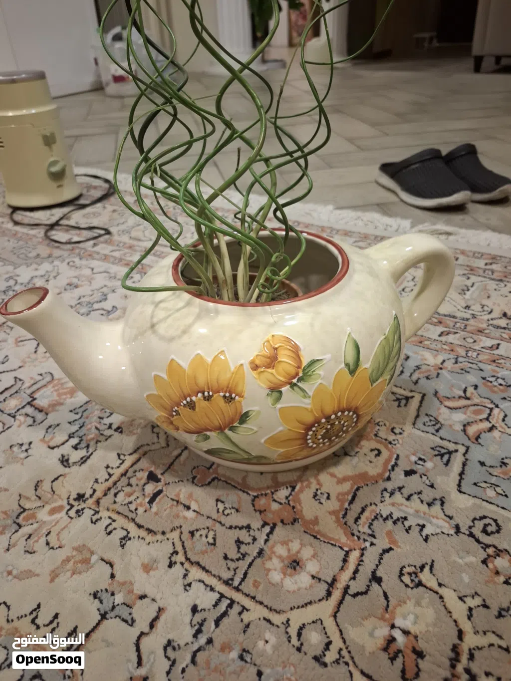 pot for plant