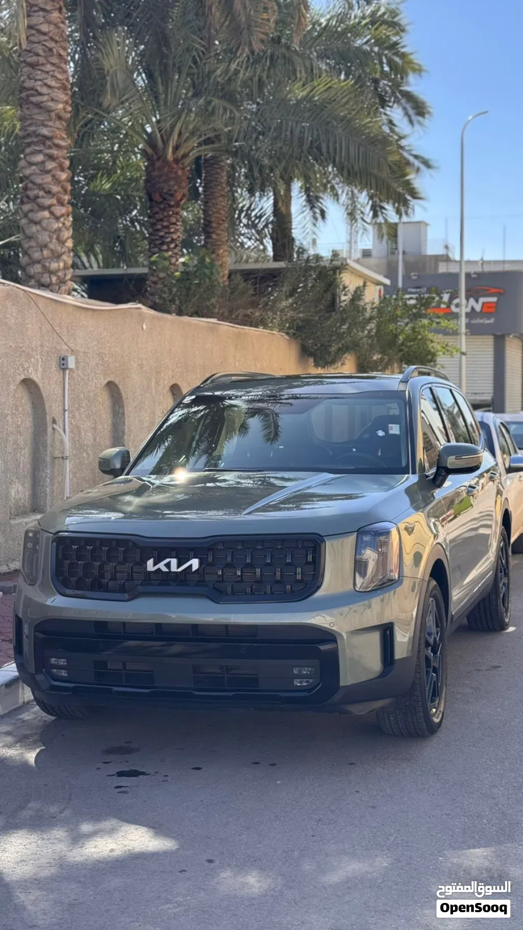 كيا تيلورايد EX X-Line
