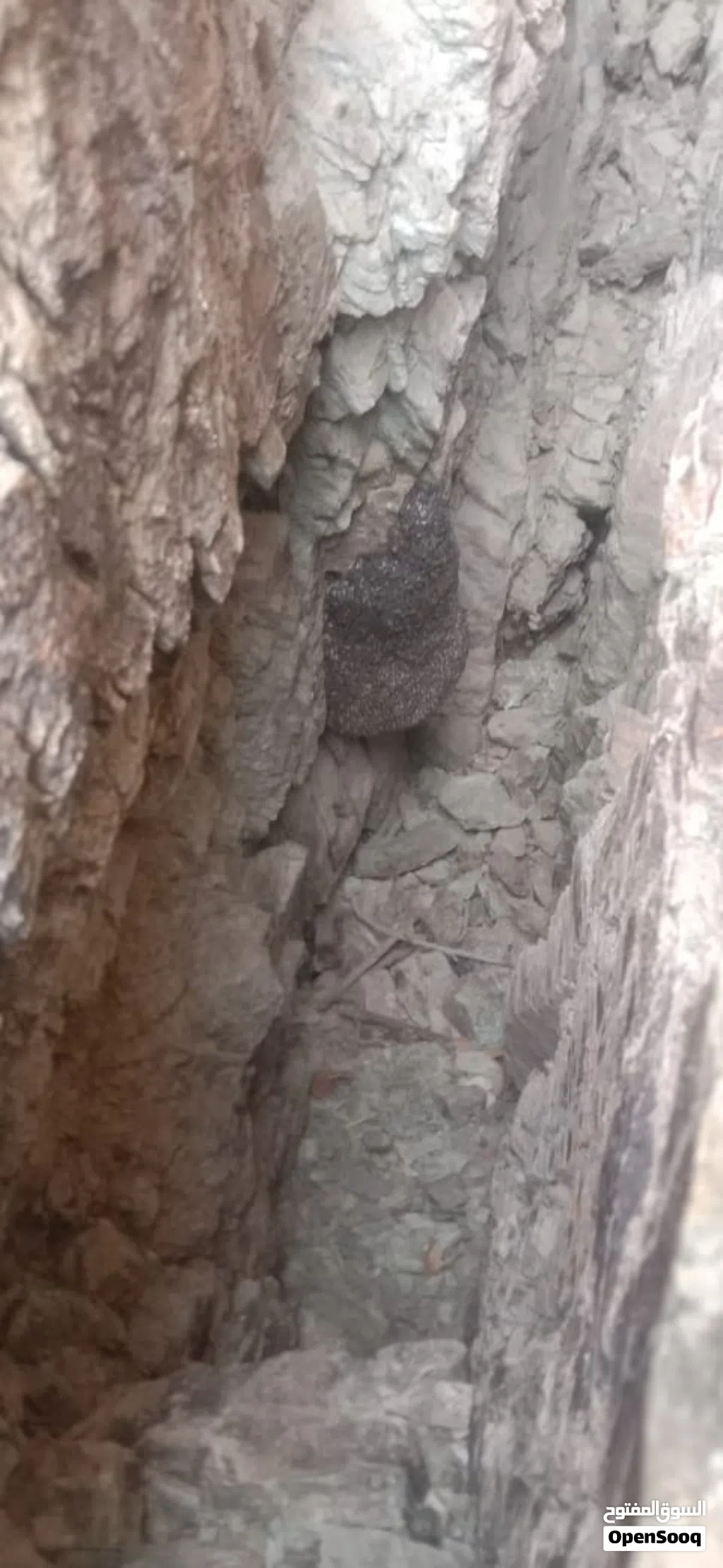 عسل ابوطويق