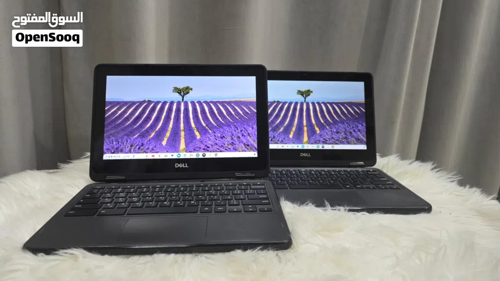 Dell Chromebook 3100