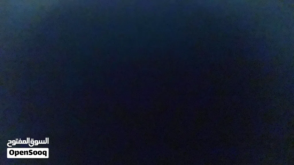 احتاج كلاب للتبني حراسه او زينه