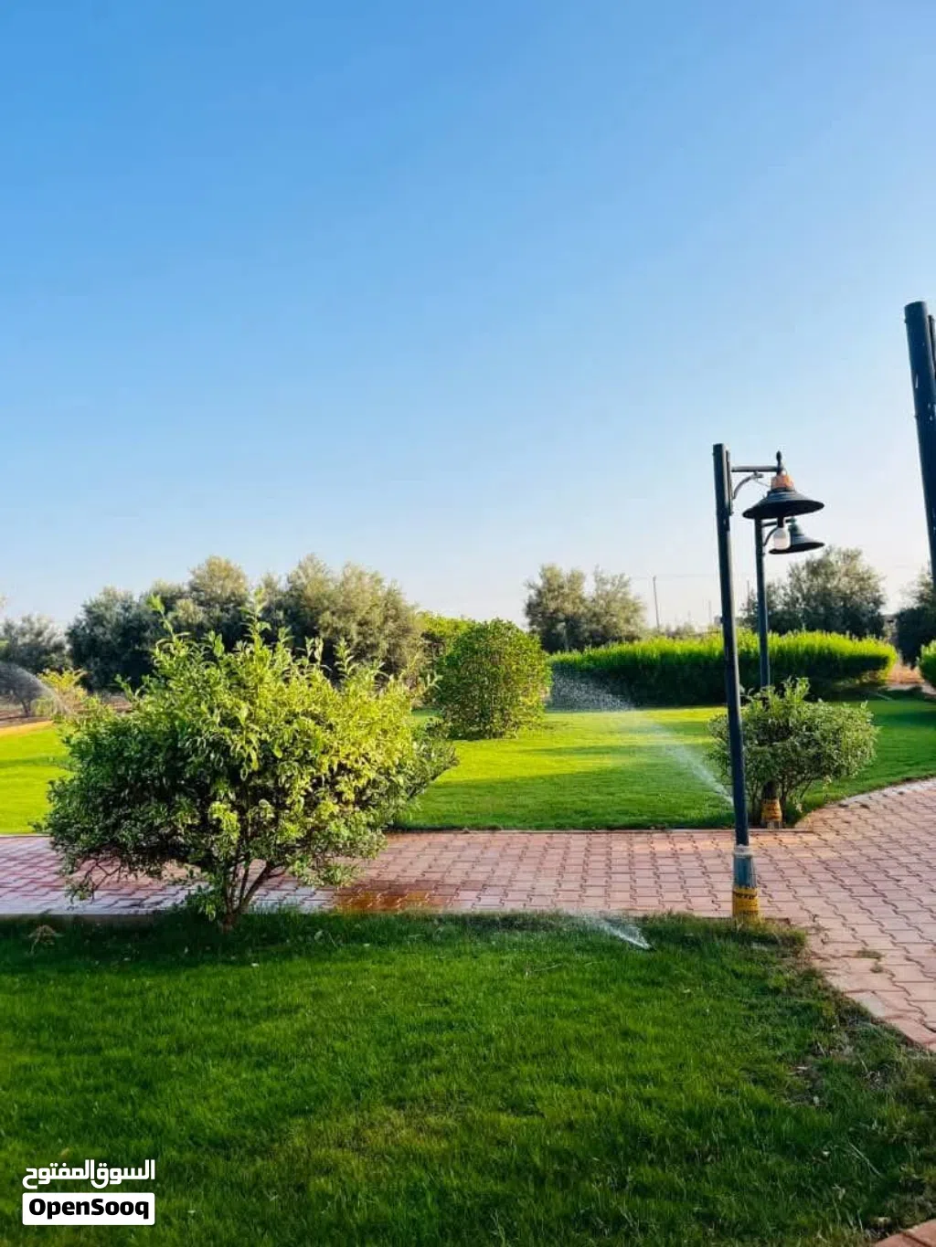 مزرعة للبيع هكتار سوبر لوكس متكاملة ## مواصفات المزرعة - *الموقع*: بين بوهادي والكويفية، منطقة ا