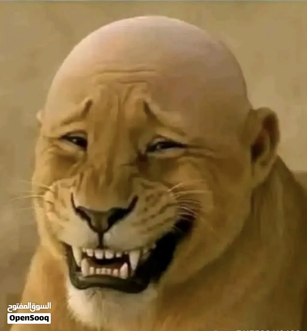 مطلوب كرت شاشه عاطل او مدابورت عاطلة او باور عاطل اعرض
