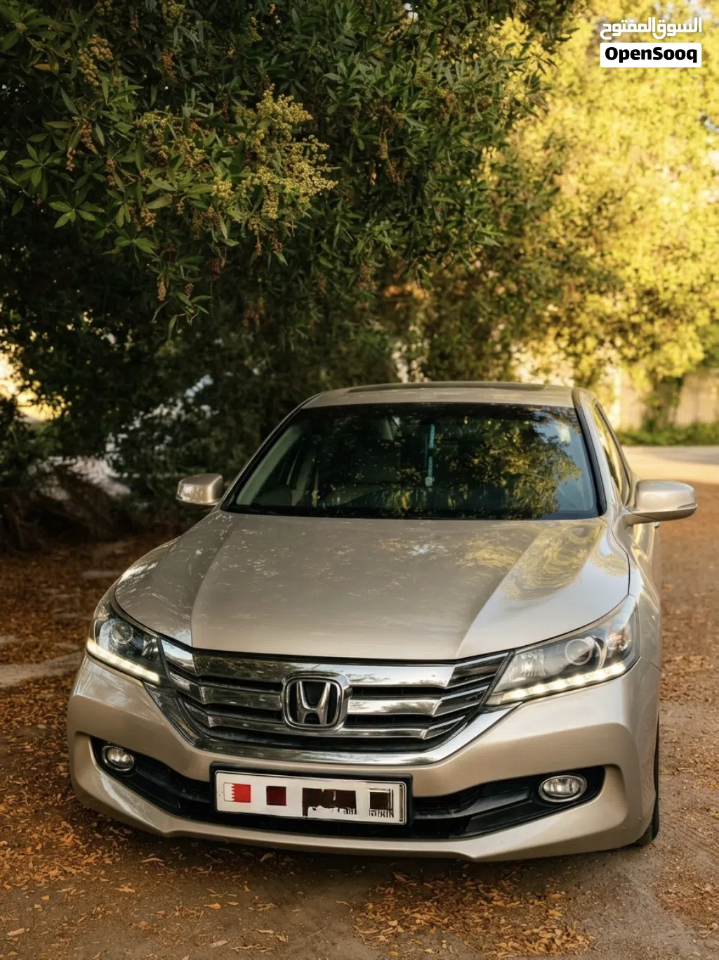 Honda Accord Limited