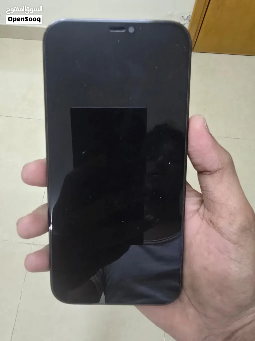 iPhone 12 Pro Max(256gb)